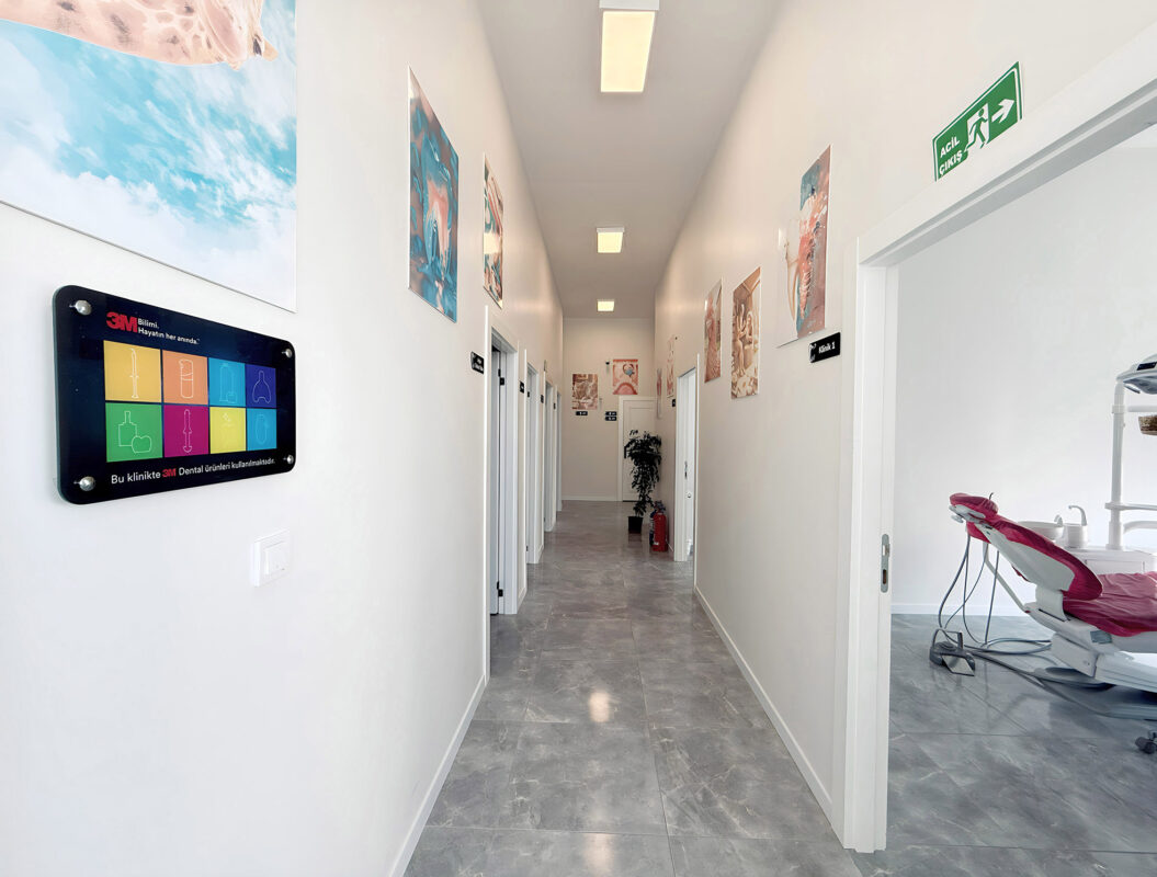 Klinik Girişi